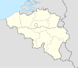 Kinrooi