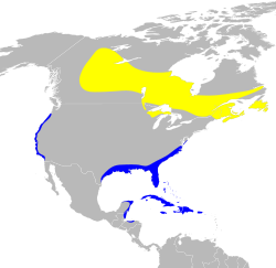 Distribution map illustration